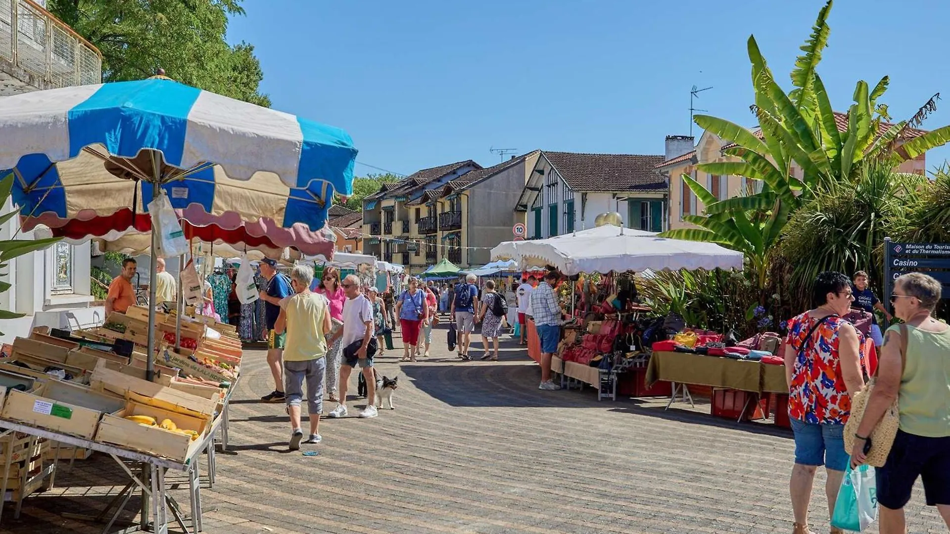 Studio Climatise Avec Jardin Et Parking A Barbotan - Fr-1-841-11 0*, باربوتان ليه ثيرميس فرنسا